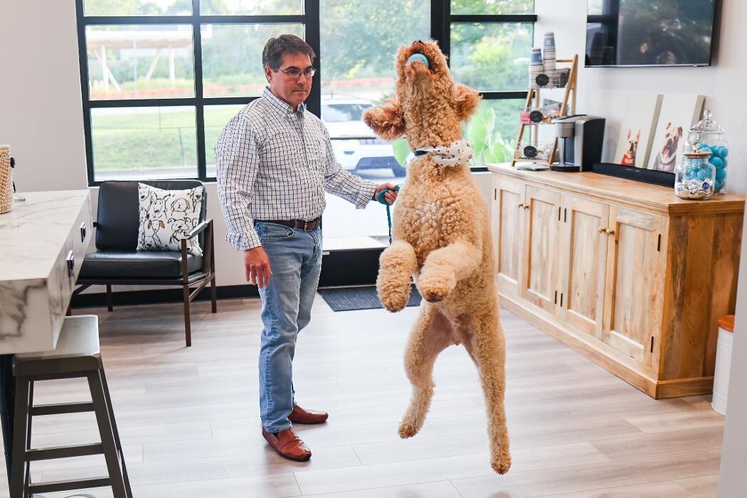 Images River Oak Vet