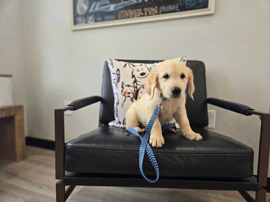 Images River Oak Vet