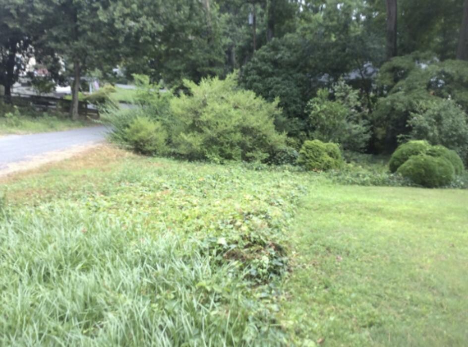 Images Manchester Gardening LLC