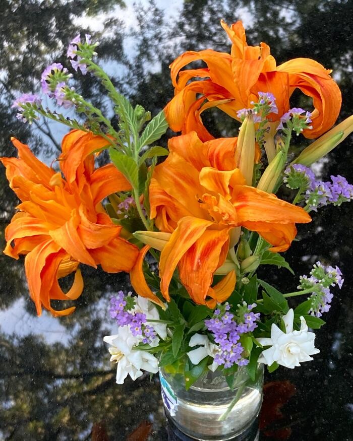 Images Manchester Gardening LLC