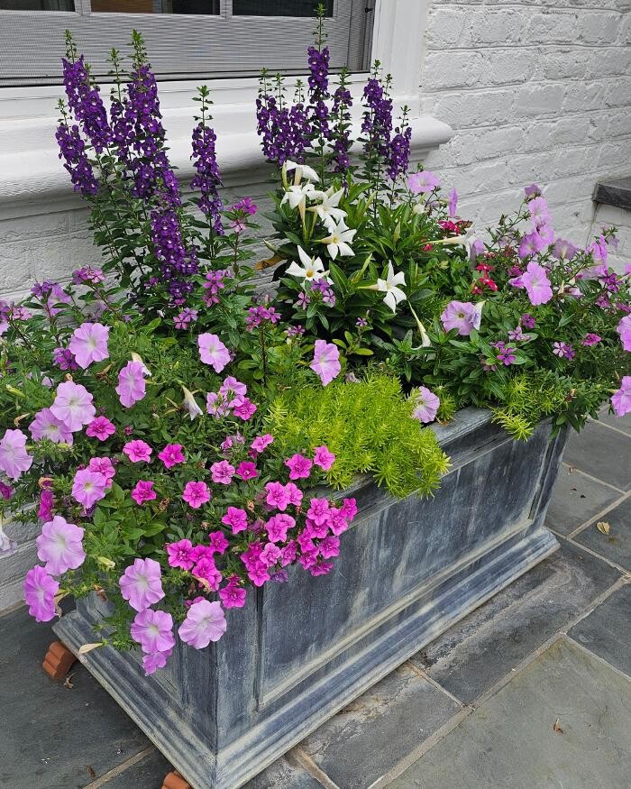 Images Manchester Gardening LLC