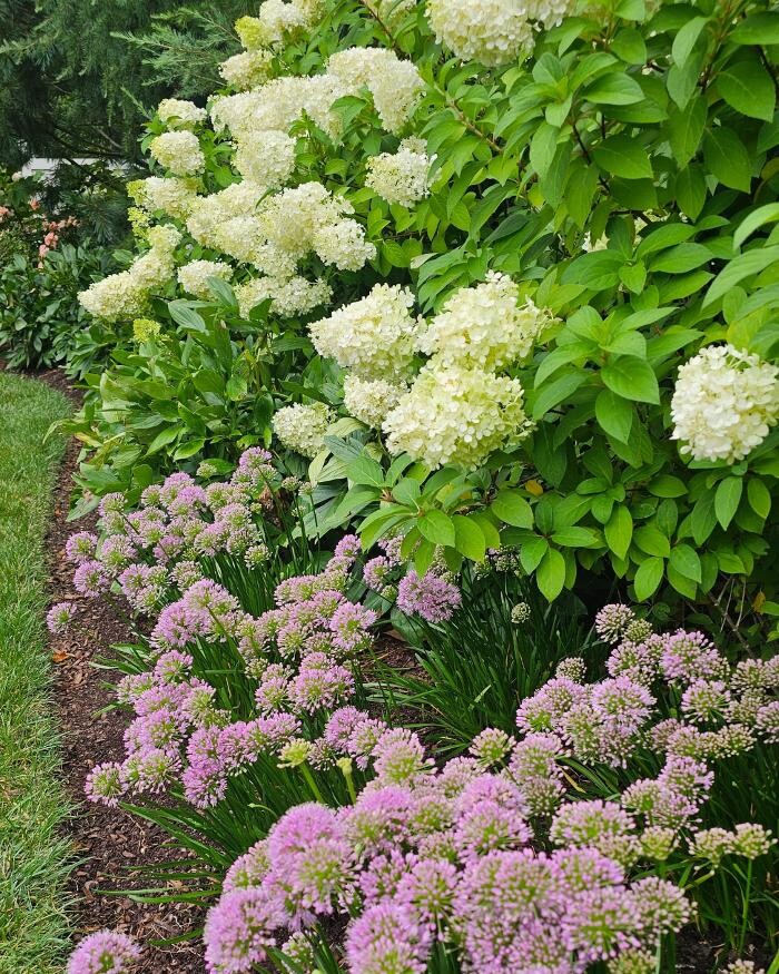 Images Manchester Gardening LLC