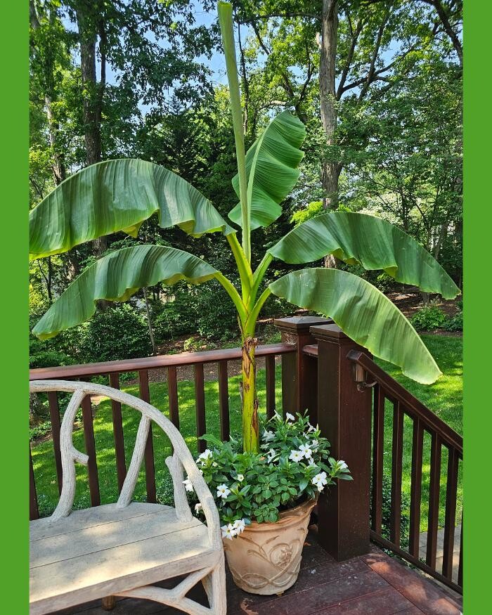 Images Manchester Gardening LLC