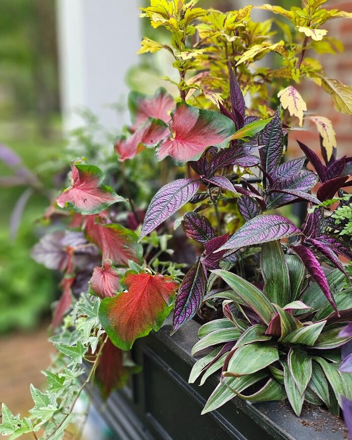 Images Manchester Gardening LLC