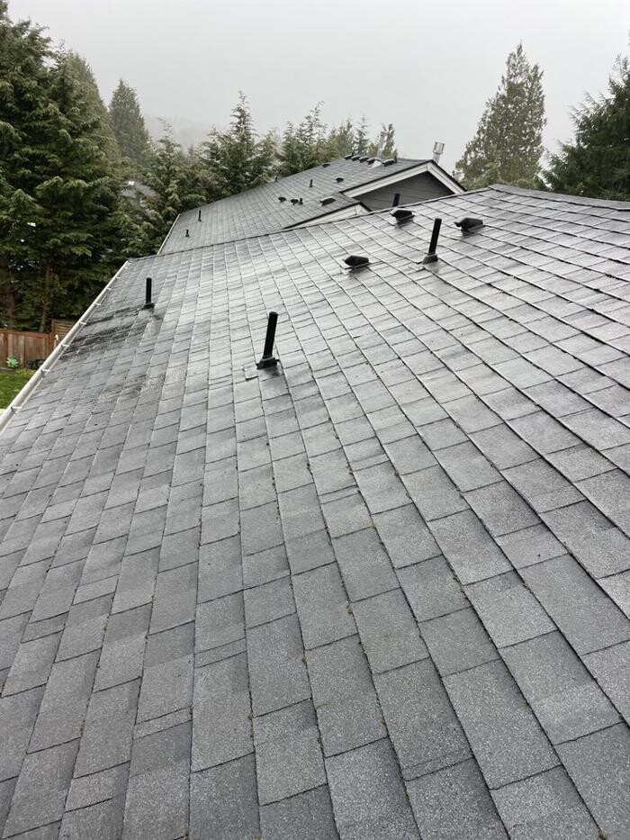 Images Luxury Bubbles