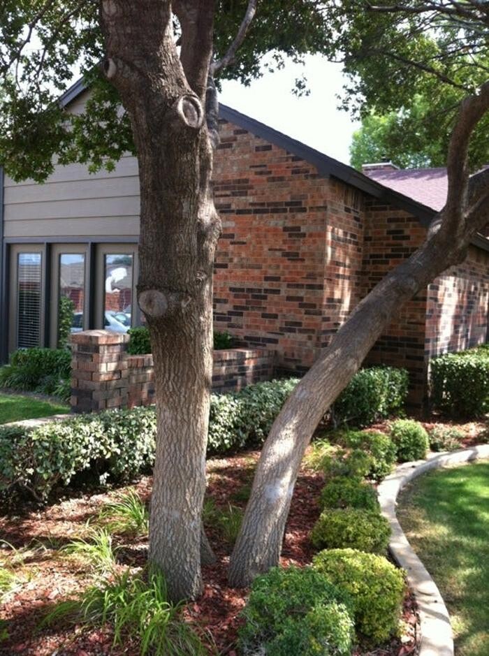 Images Bentwood Apartments