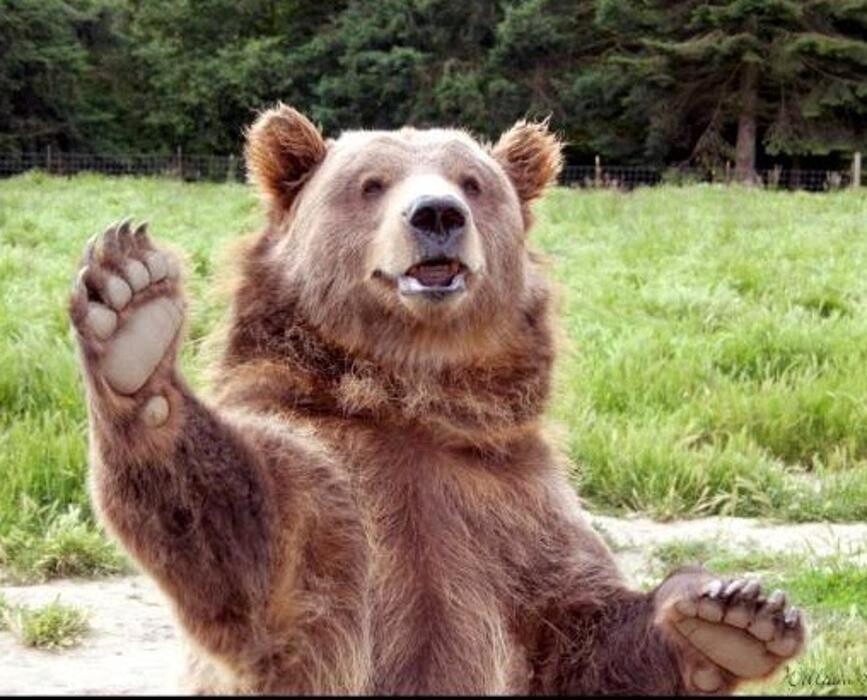 Images Olympic Game Farm Inc.