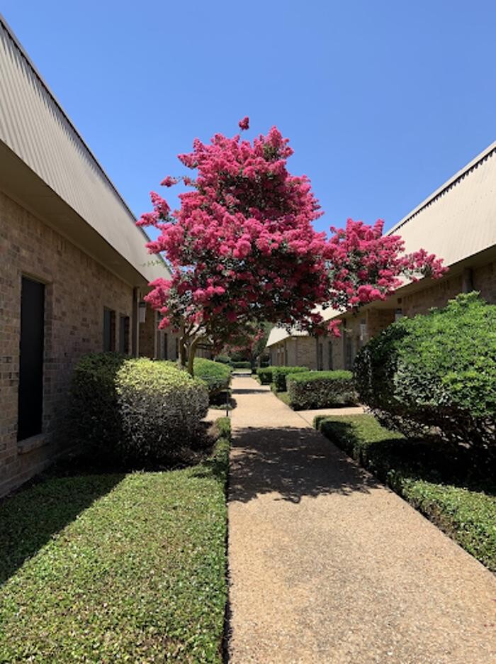 Images Anxiety Treatment Center of Austin