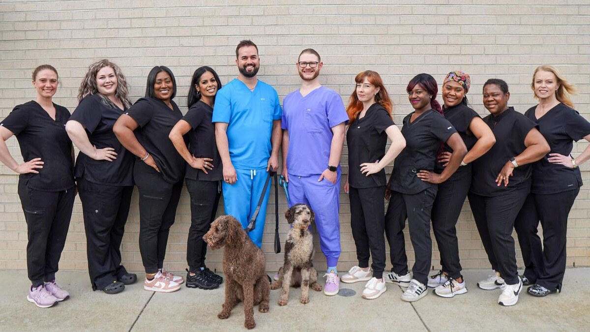 Images Bright Smiles Dental