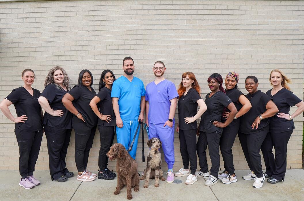 Images Bright Smiles Dental