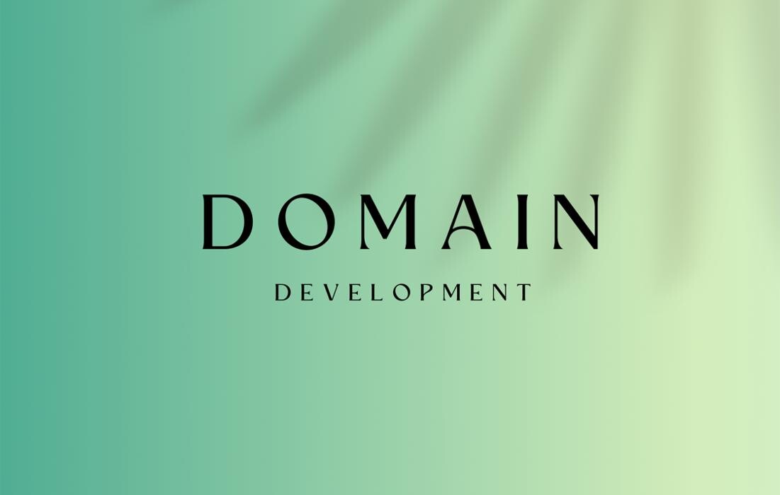 Domain Development Logo