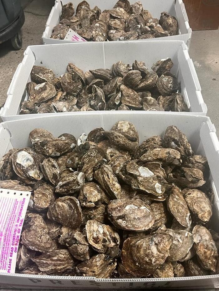 Images Pescaderia El Waco