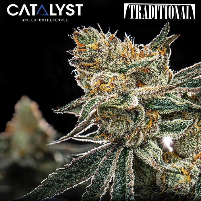 Images Catalyst Cannabis Dispensary Los Angeles Figueroa
