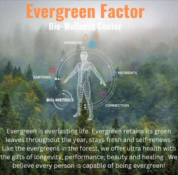 Images Evergreen Factor