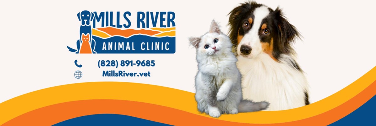 Images Mills River Animal Clinic