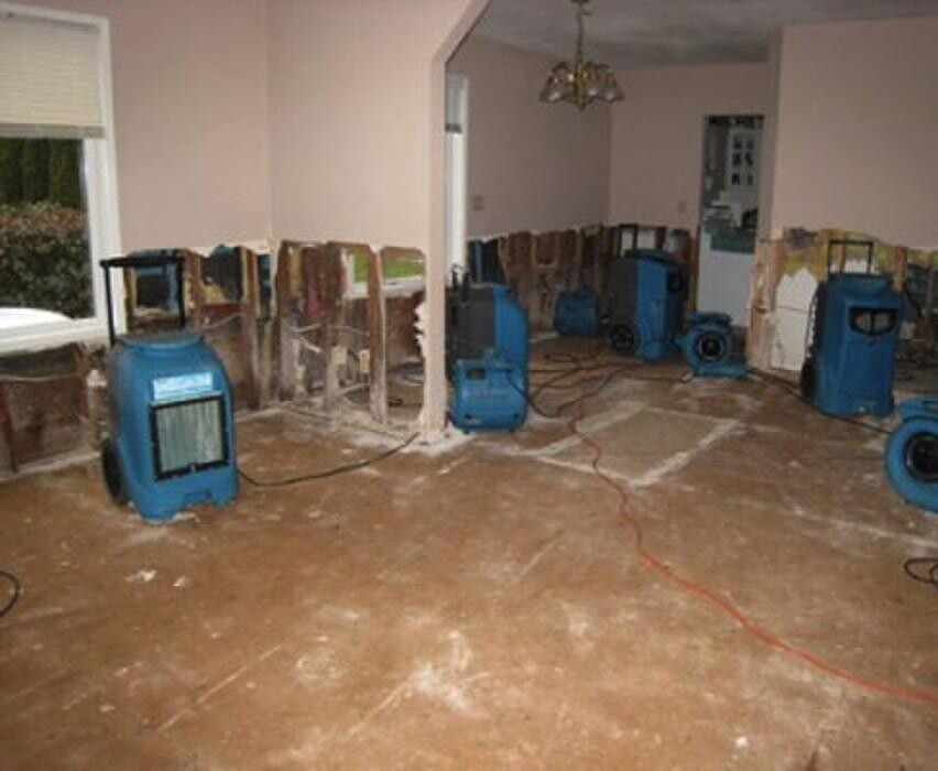 Images Bailfish Services LLC