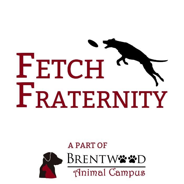 Fetch Fraternity Doggy Daycare Logo