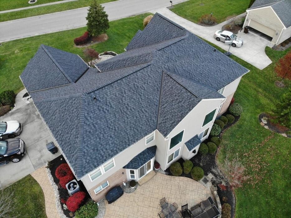 Images Four Paws Roofing & Remediation