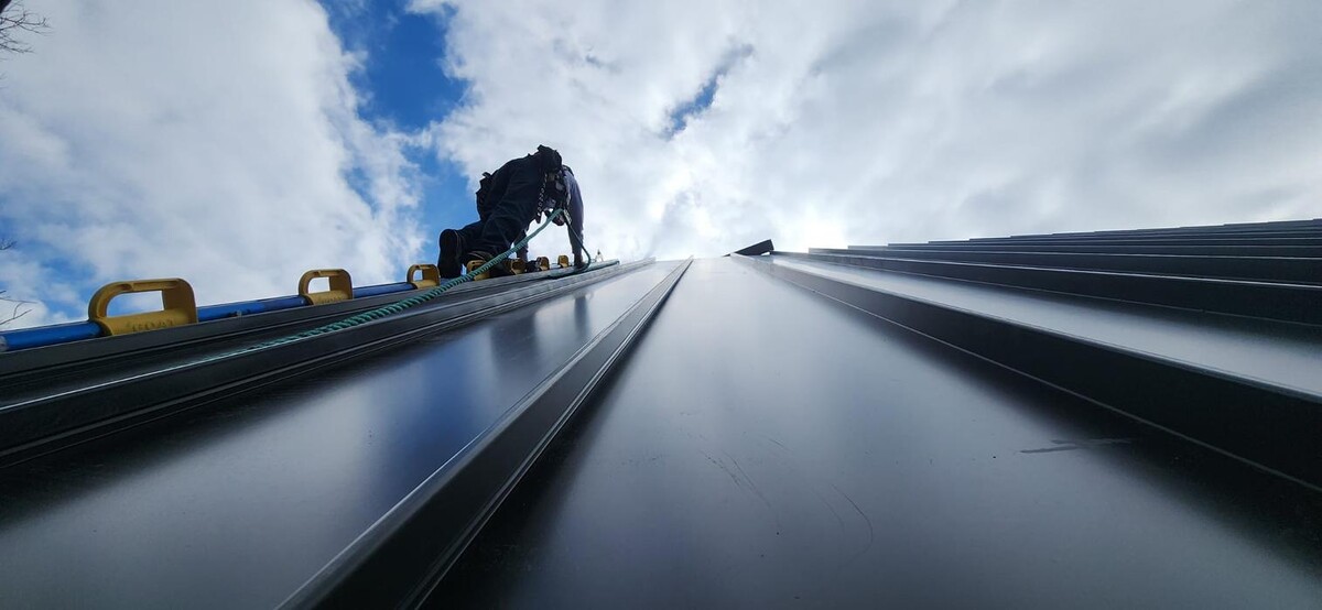 Images Four Paws Roofing & Remediation