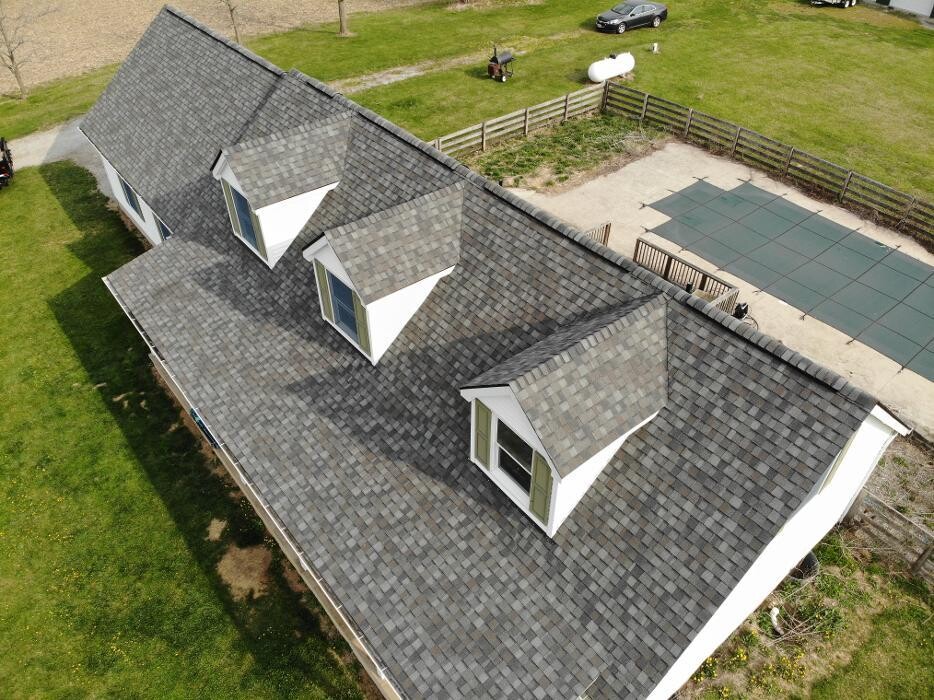 Images Four Paws Roofing & Remediation