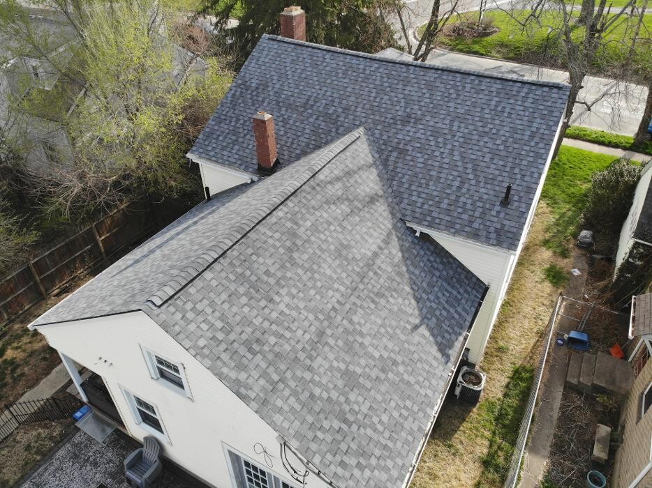 Images Four Paws Roofing & Remediation