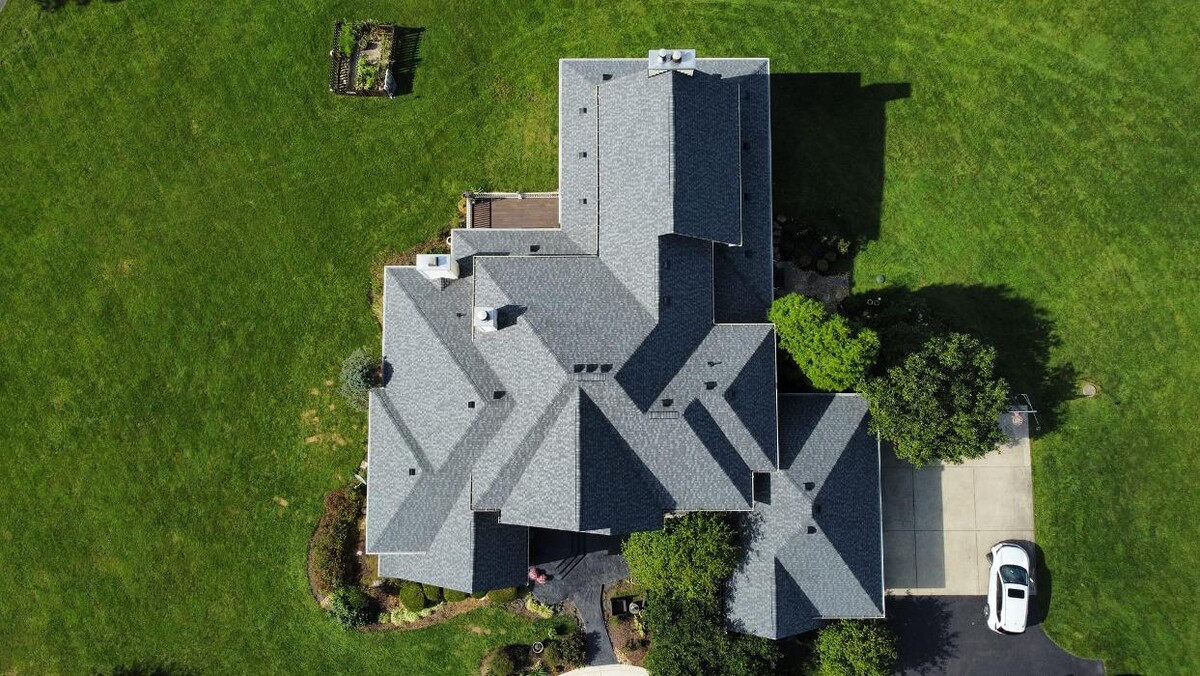 Images Four Paws Roofing & Remediation