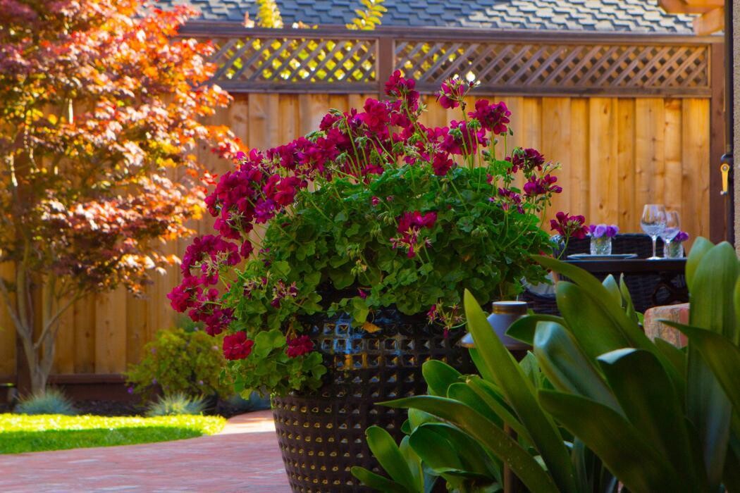 Images A&A Landscape Inc