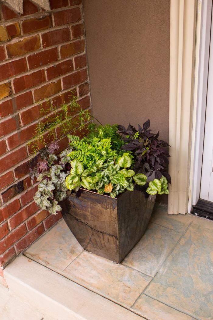 Images A&A Landscape Inc