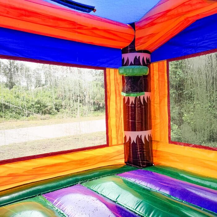 Images All-Bounce Tampa