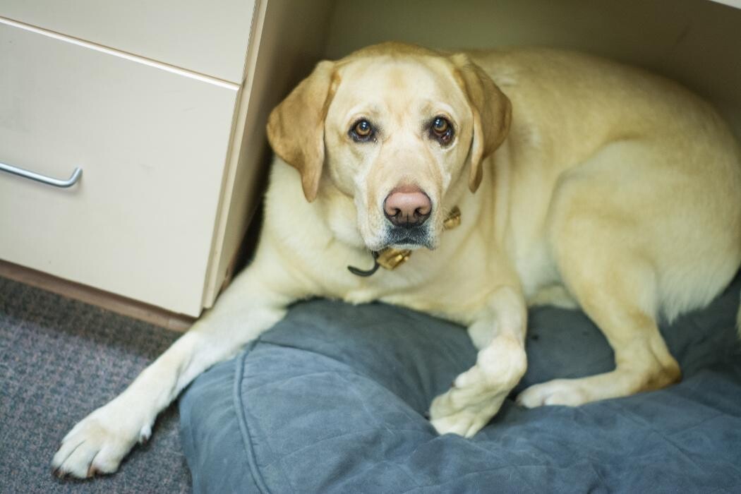 Images Embassy of Pickerington