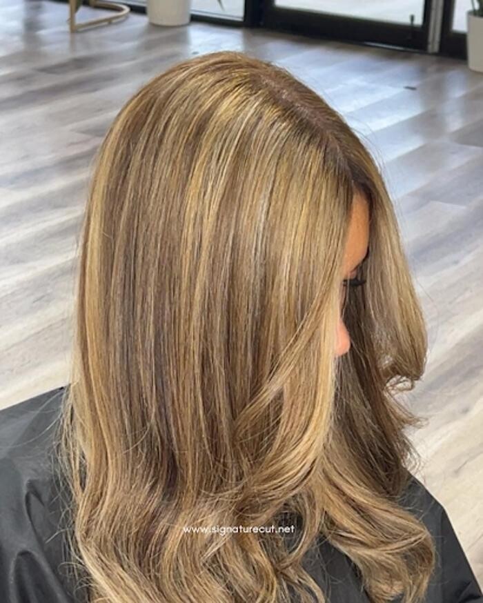 Images Signature Cut