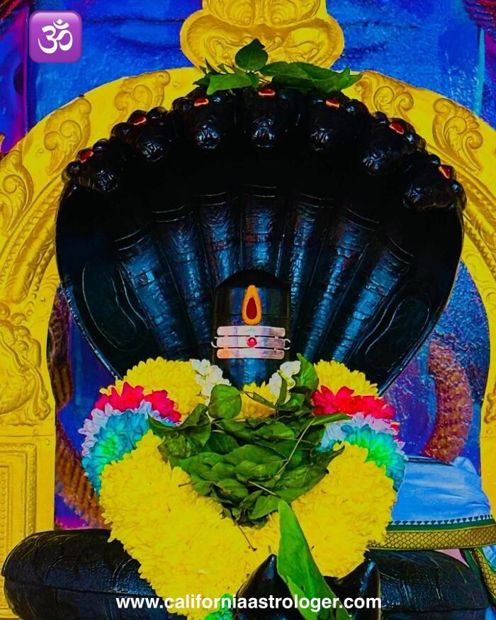 Images Astrologer & Psychic Pandit Kumar