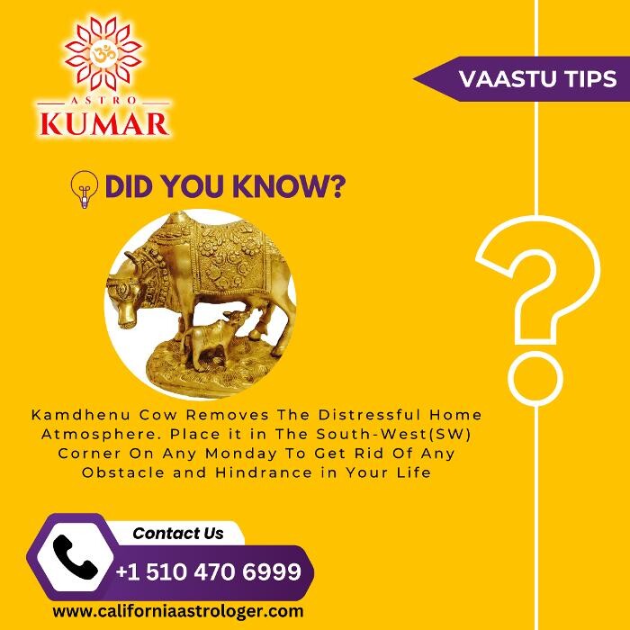 Images Astrologer & Psychic Pandit Kumar