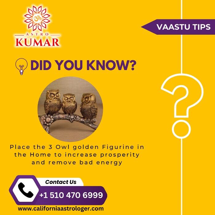 Images Astrologer & Psychic Pandit Kumar