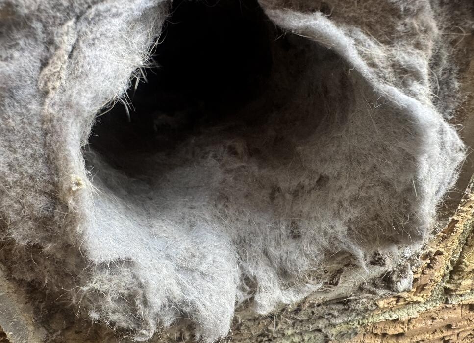 Images Dryer Vent Superheroes of Nashville