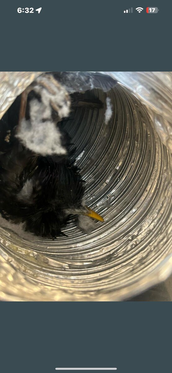 Images Dryer Vent Superheroes of Nashville