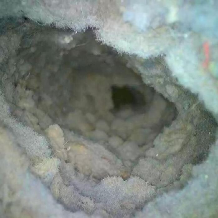 Images Dryer Vent Superheroes of Nashville