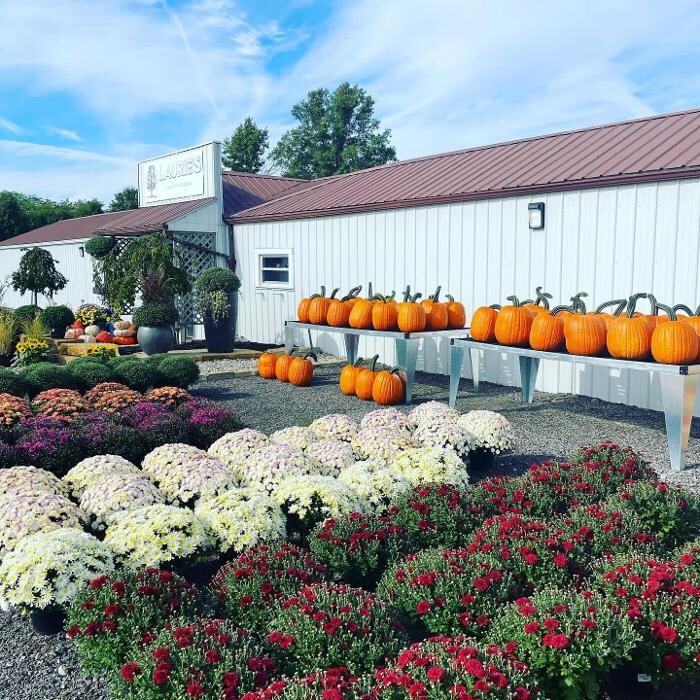 Images Laurie's Naturescapes