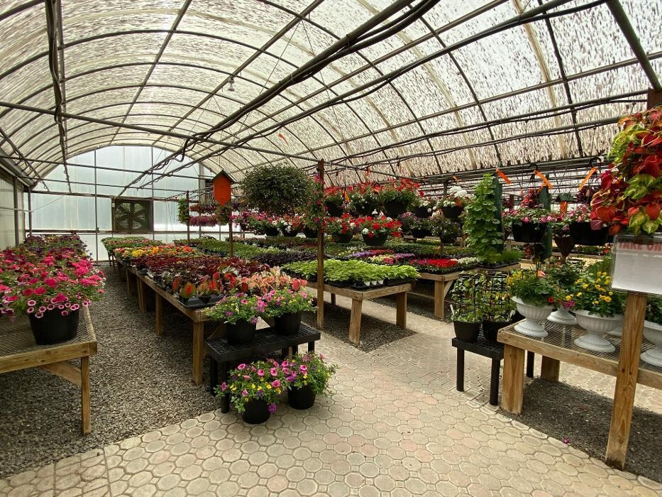 Images Laurie's Naturescapes