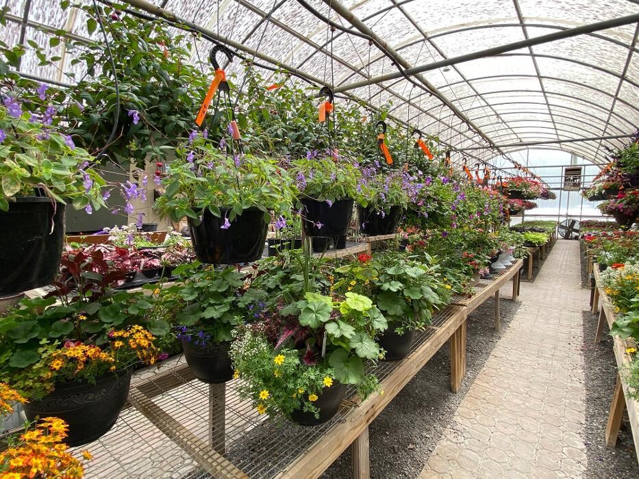 Images Laurie's Naturescapes