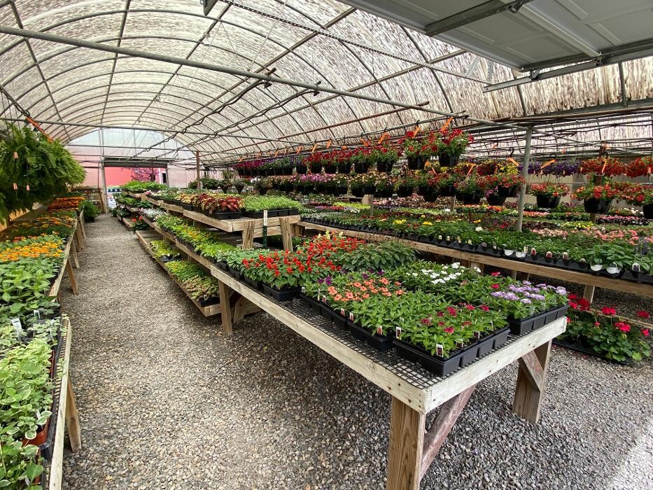 Images Laurie's Naturescapes