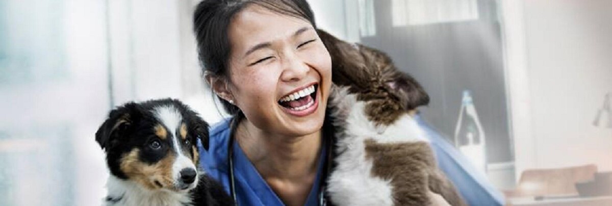 Images Thrive Pet Healthcare Specialists - Hoffman Estates