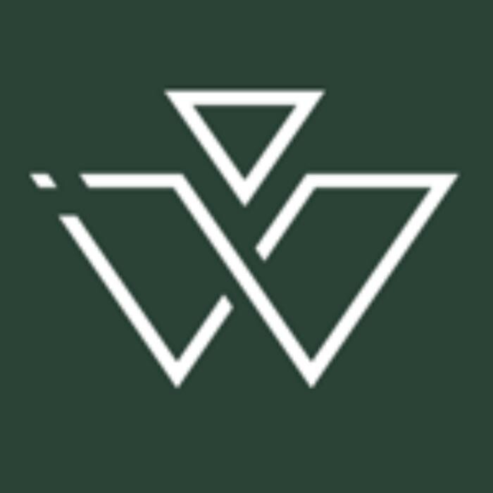 The Waltzman Institute Logo