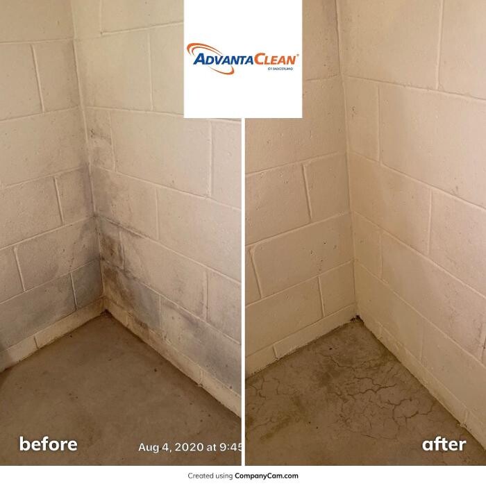 Images AdvantaClean of Badgerland
