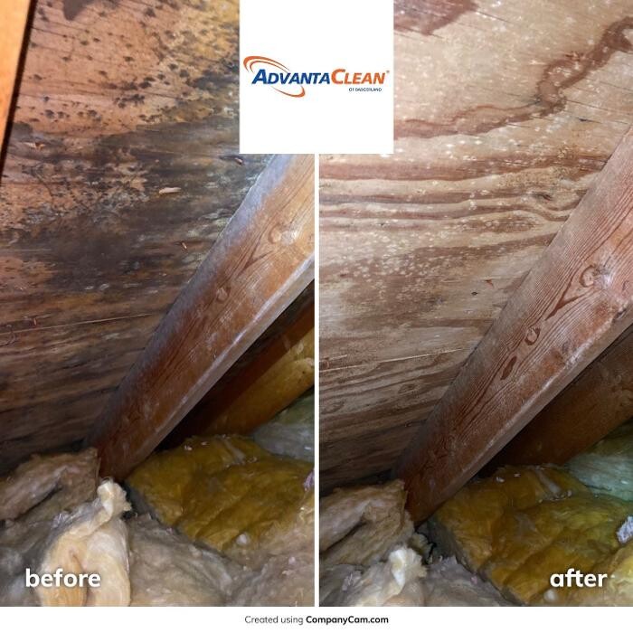 Images AdvantaClean of Badgerland