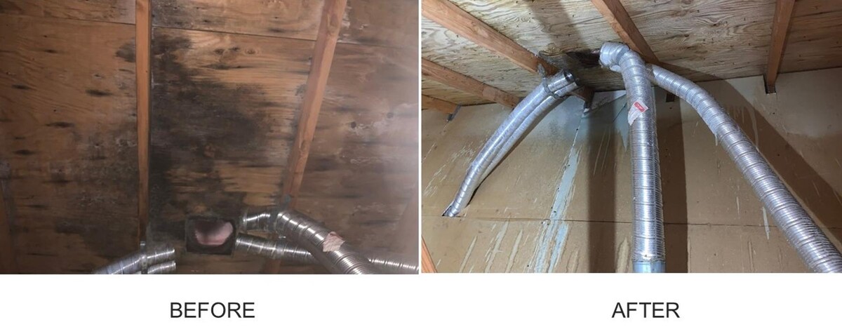 Images AdvantaClean of Badgerland