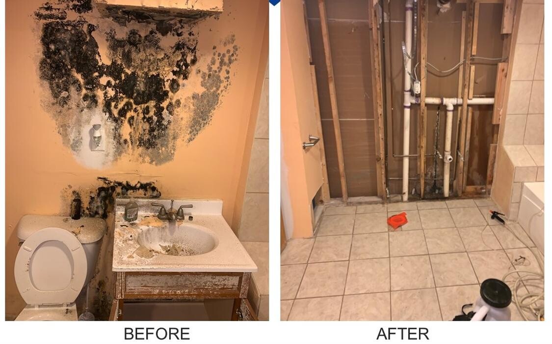 Images AdvantaClean of Badgerland