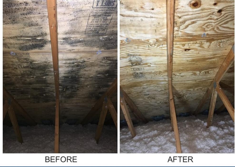 Images AdvantaClean of Badgerland