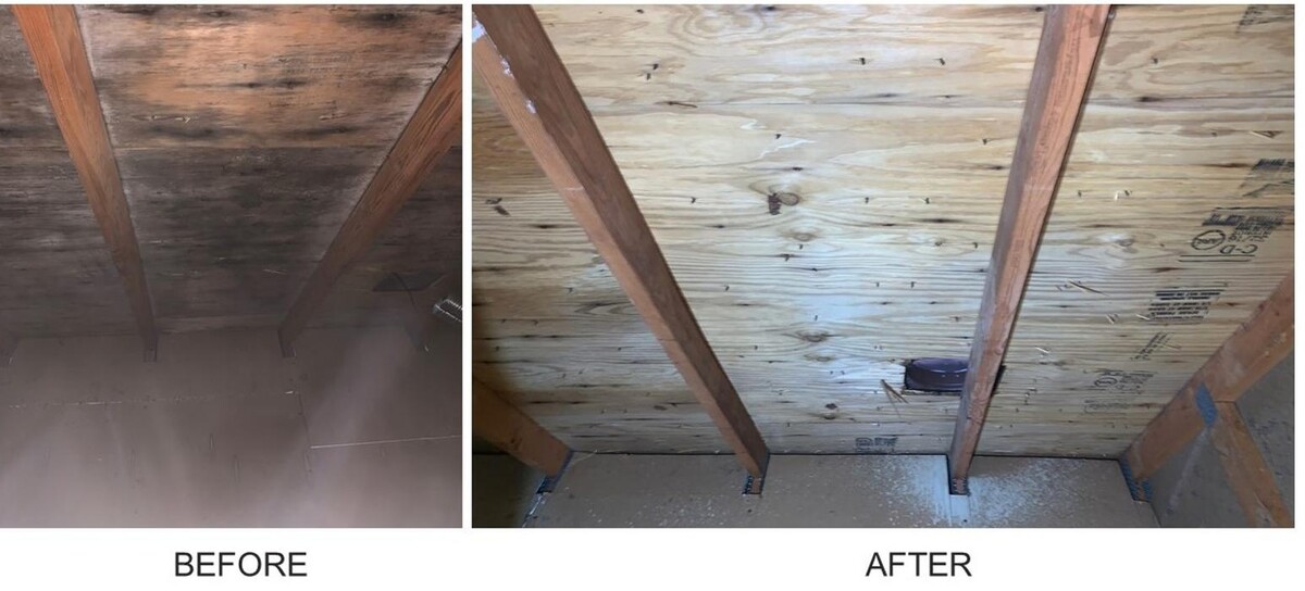 Images AdvantaClean of Badgerland