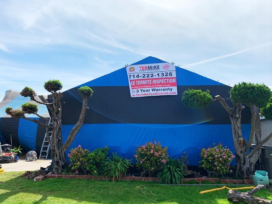 Images Termike Pest Control